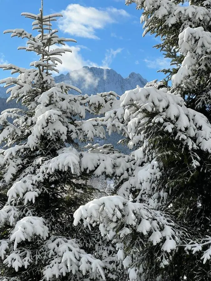 Kwatera Gorska 903Mnpm Zakopane